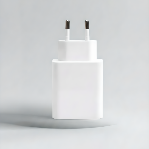 Fast Charger